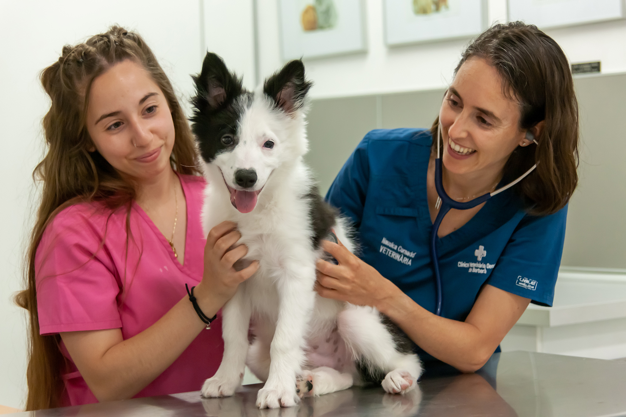 Veterinario en Barberá del Vallés - Equipo de la Clínica Veterinària General con un perro