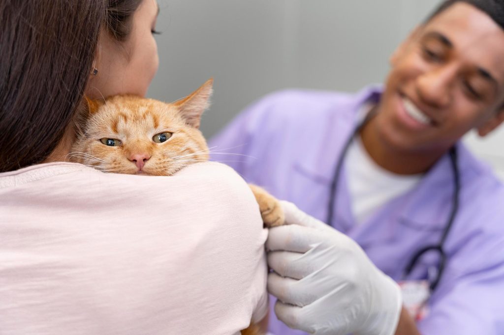 Gato con su ama en el veterinario