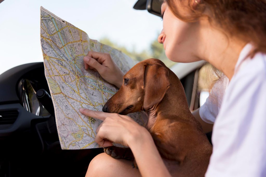 Chica y su perro mirando un mapa de viaje